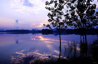 光影與速度的交匯 易車攝影社區的獨特魅力